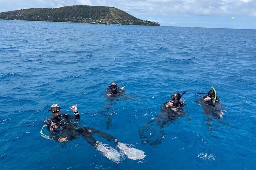 Certified Scuba Diving Along Two Shallow Reef Sites