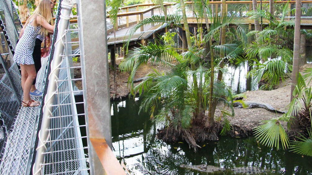 4-Park Pass: Cairns ZOOM & Wildlife Dome, Rainforestation Nature Park & More