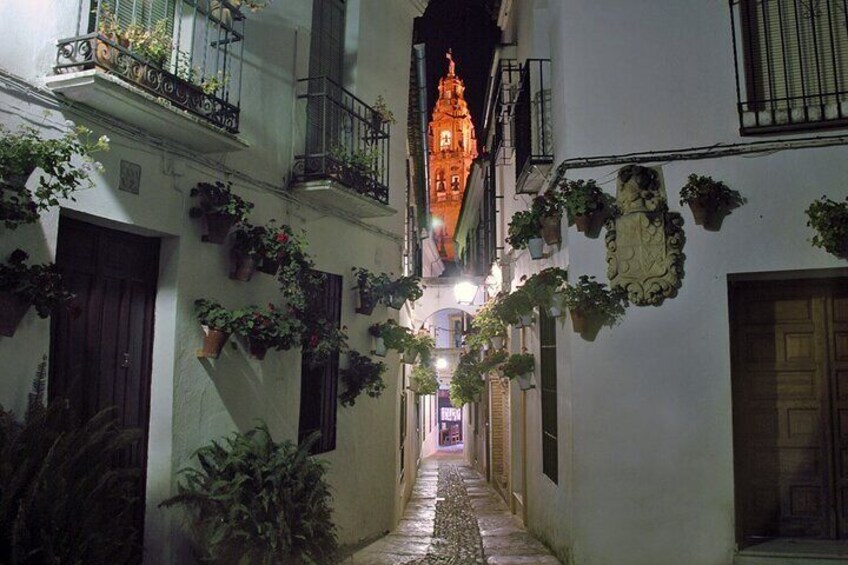 Private Walking Tour in Cordoba