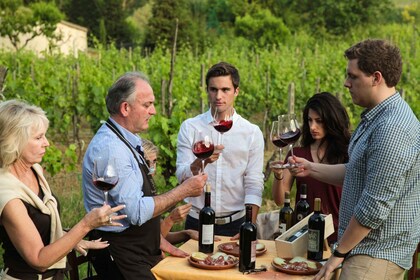 Déjeuner dans le jardin et dégustation de vin