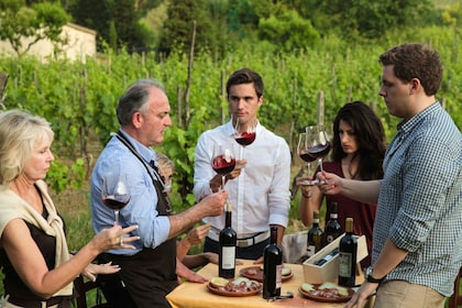 Comida en el jardín y cata de vinos