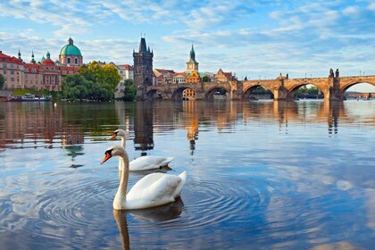 Praga: Tour privato a piedi con guida (Tour privato)