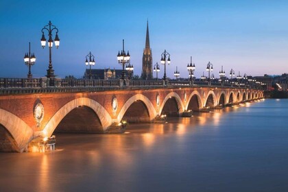 Bordeaux : Privé sur mesure excursion avec un guide local