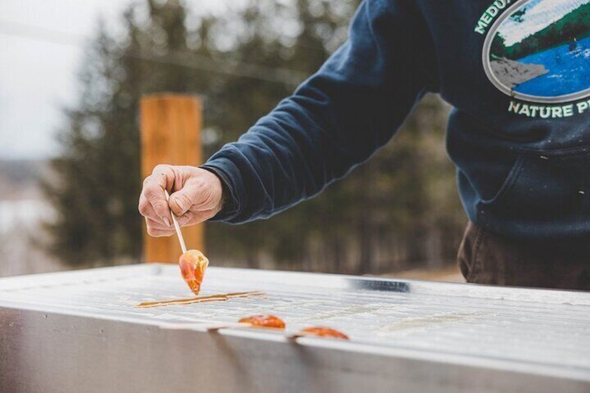 From Sap to Syrup: A Tasty Guided Maple Production Tour