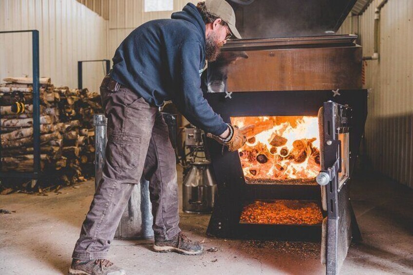 From Sap to Syrup: A Tasty Guided Maple Production Tour