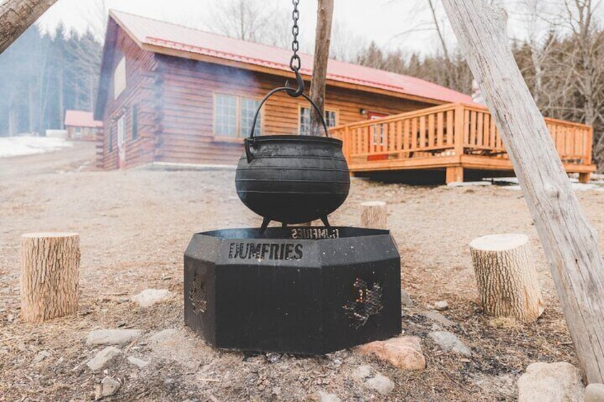 From Sap to Syrup: A Tasty Guided Maple Production Tour