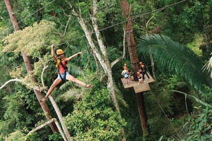 Phuket: Hanuman Zipline-seikkailu