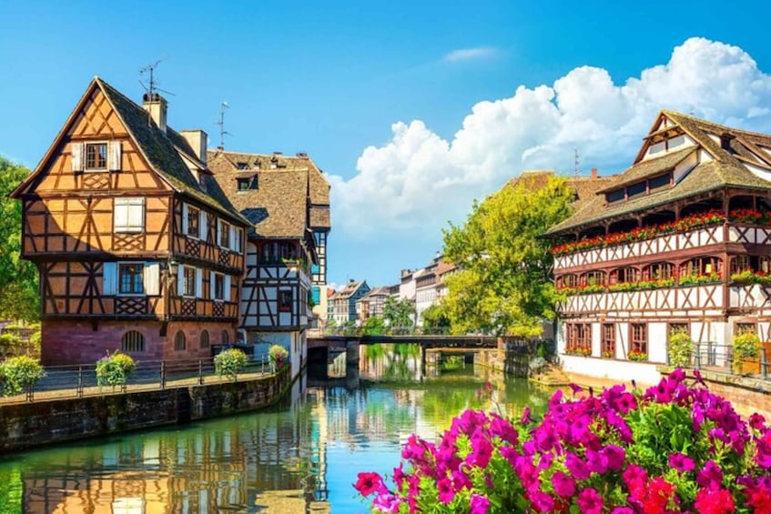 Picture 4 for Activity Strasbourg: Private custom tour with a local guide