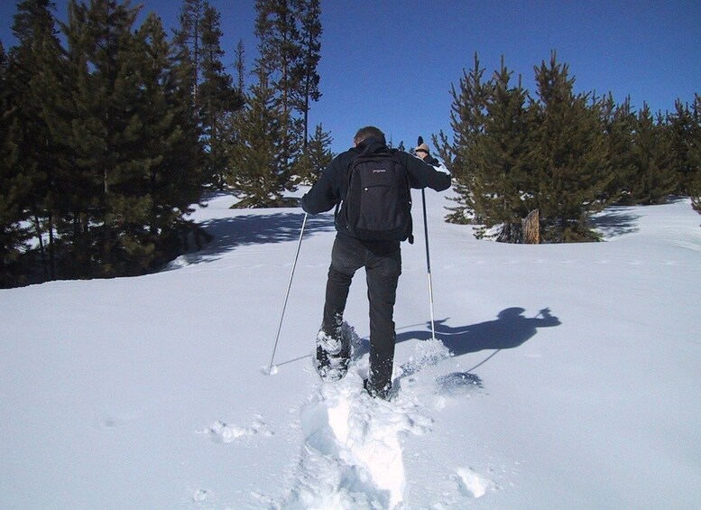 From Gardiner: Yellowstone National Park Snowshoe Tour