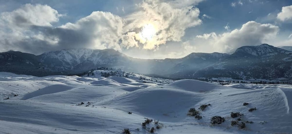 Picture 8 for Activity From Gardiner: Yellowstone National Park Snowshoe Tour