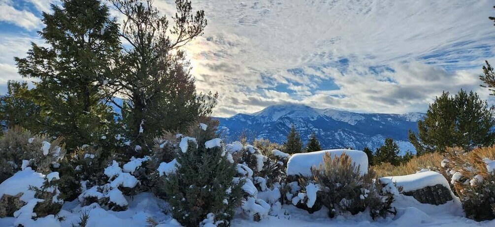 Picture 1 for Activity From Gardiner: Yellowstone National Park Snowshoe Tour