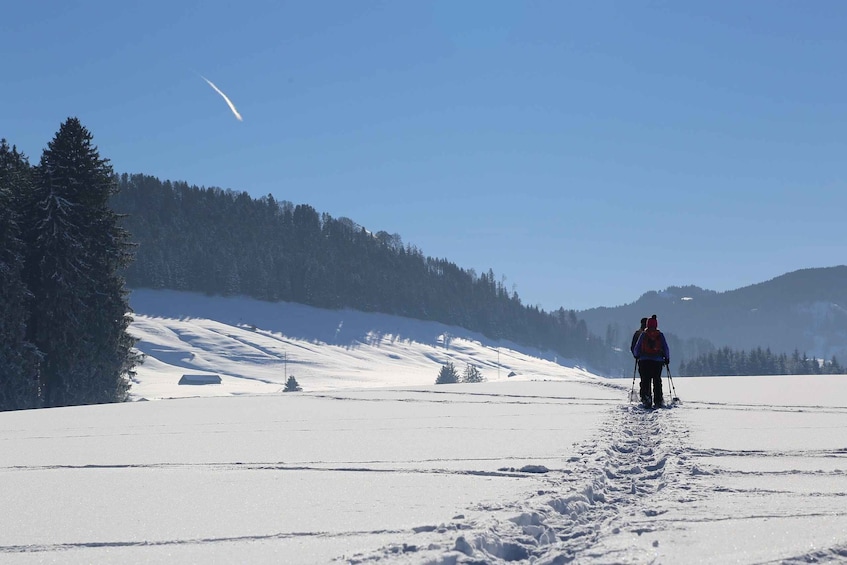 Picture 6 for Activity From Gardiner: Yellowstone National Park Snowshoe Tour