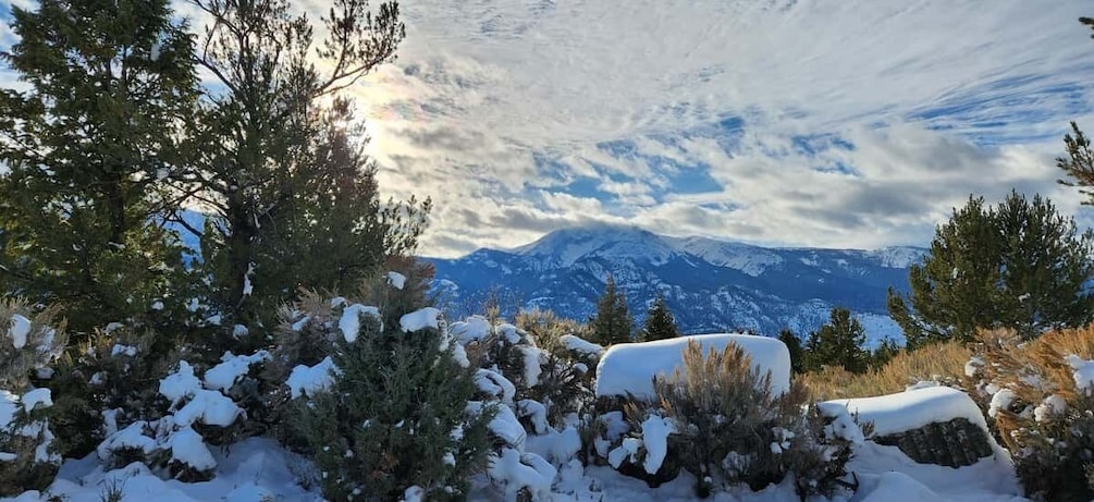 Picture 1 for Activity From Gardiner: Yellowstone National Park Snowshoe Tour