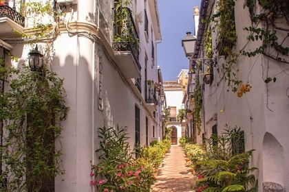 Marbella: Tour privato a piedi personalizzabile con guida