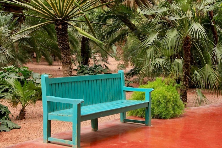 Picture 4 for Activity Marrakesh: Majorelle Garden Entry Tickets