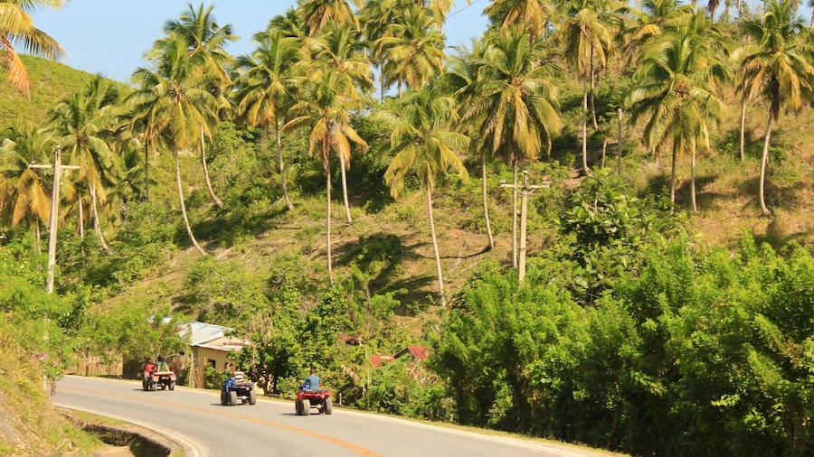 Las Terrenas: Private Coffee Trail ATV Tour in Samana