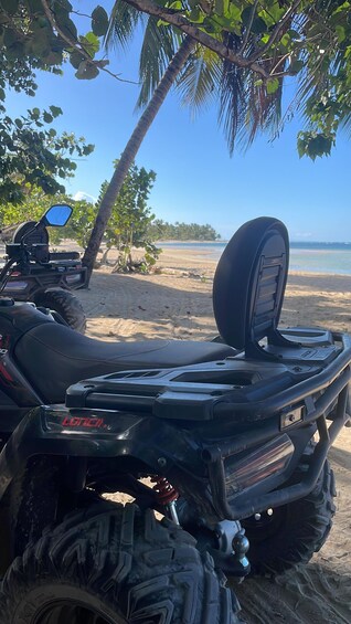 Picture 6 for Activity Las Terrenas: Private Coffee Trail ATV Tour in Samana