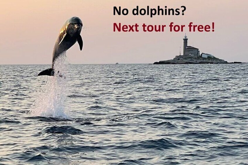 Private Sunset Dolphin Watching with Drinks in Rovinj