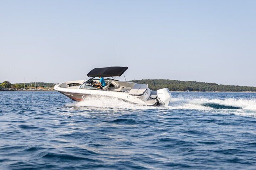 Private Sunset Dolphin Watching with Drinks in Rovinj
