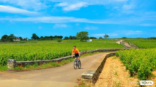 Beaune: Winery Tour by Bike with Wine Tasting