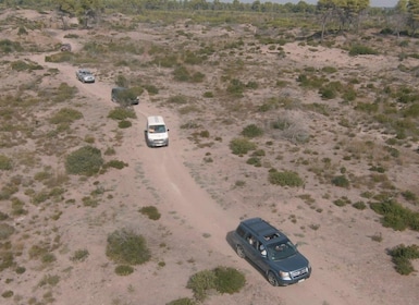 Safari y observación de aves en el Paisaje Protegido de Vjosa-Narta