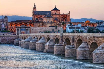 Cordoba: Privat spesialtilpasset tur med lokal guide