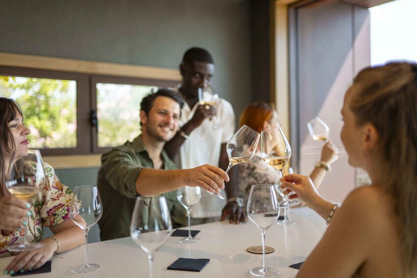 Picture 11 for Activity Cannes: Provence Wine Tour - Private Tour from Cannes