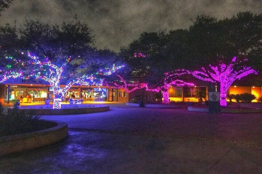 Enchanting Christmas Adventure in Magical Houston Holiday