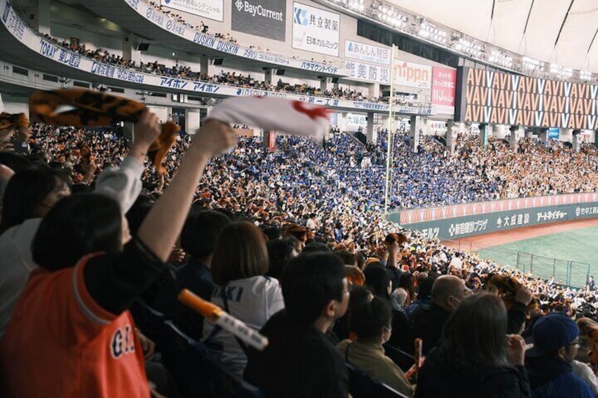 Baseball Experience in Tokyo