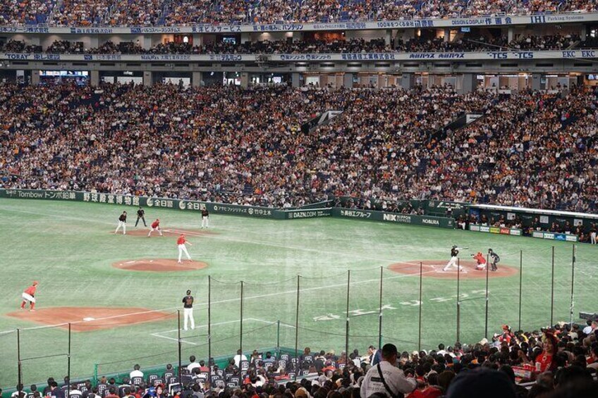 Baseball Experience in Tokyo