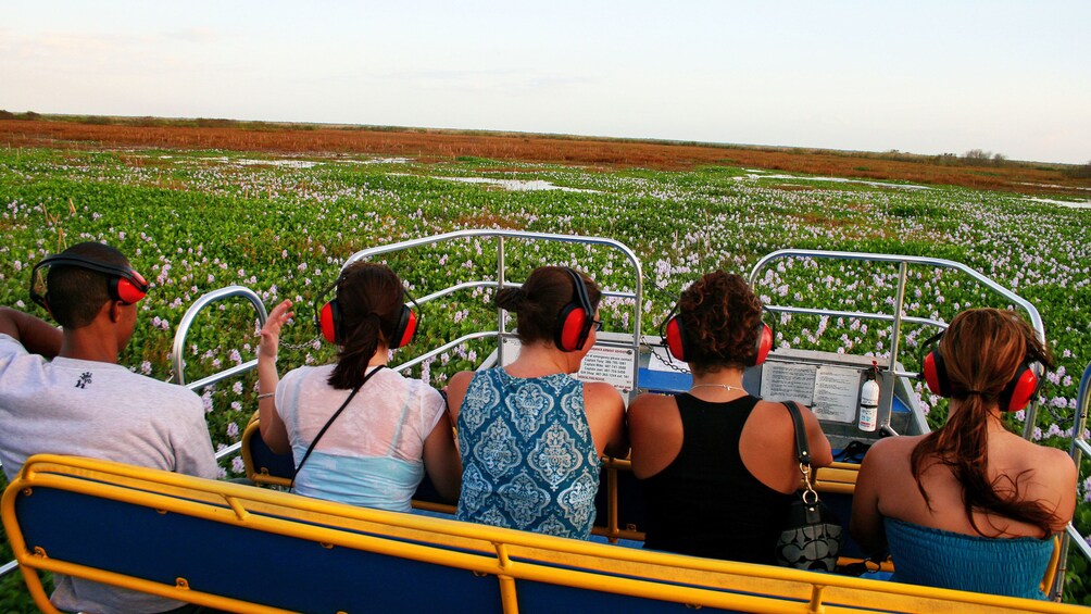 Airboat ride in Florida