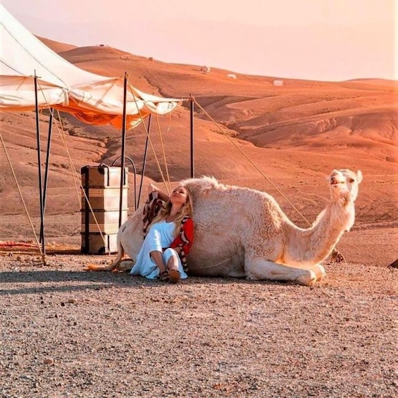 Picture 11 for Activity From Marrakech: Agafay Desert Sunset Dinner & Camel Ride