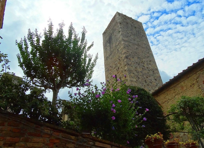 Picture 11 for Activity San Gimignano private guide: Manhattan of the Middle Ages