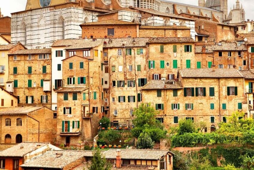Siena: Private custom tour with a local guide