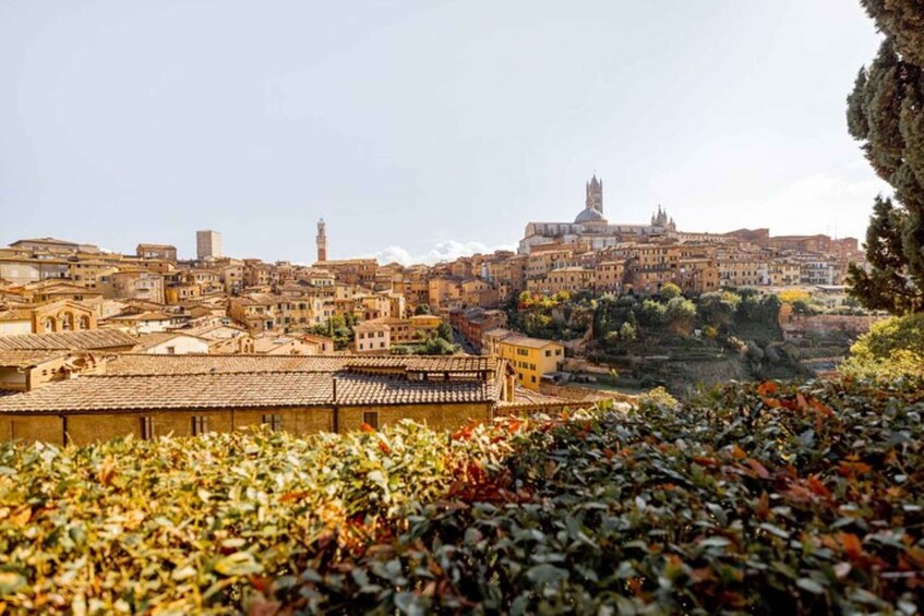 Picture 1 for Activity Siena: Private custom tour with a local guide
