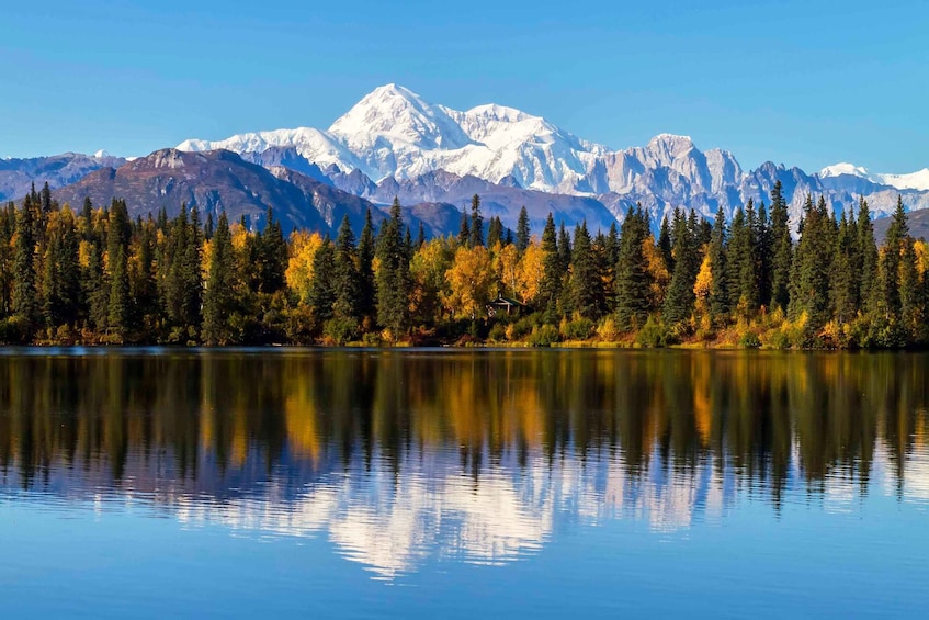 Denali State Park: Guided Byers Lake Kayaking Tour