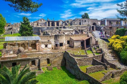 Pompeii: Semi-private tour with an Archeologist Guide