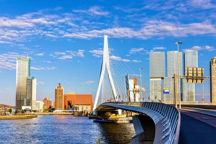 Rotterdam: Private Custom Walking Tour with Local Guide