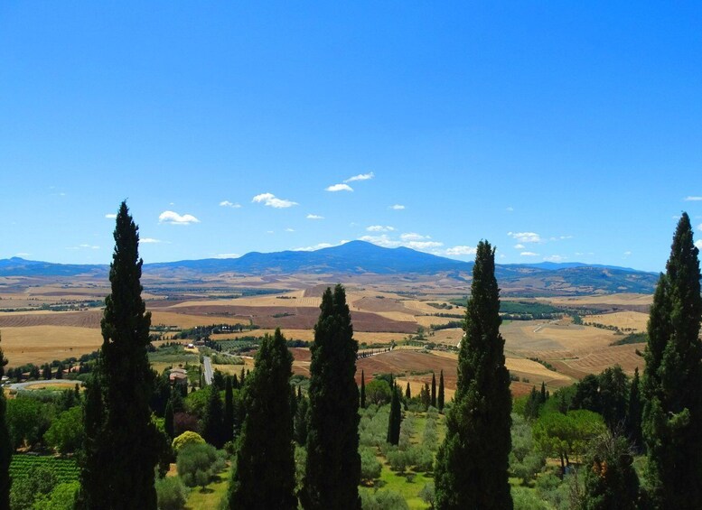 Picture 8 for Activity Pienza: Private Walking Tour with Tuscan Tasting Experience