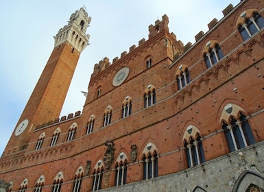 Visita privada a Siena: descubriendo el legendario espíritu del Palio