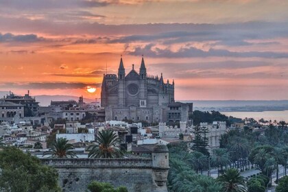 Palma de Mallorca: Paikallinen opas: Yksityinen kiertoajelu paikallisen opp...