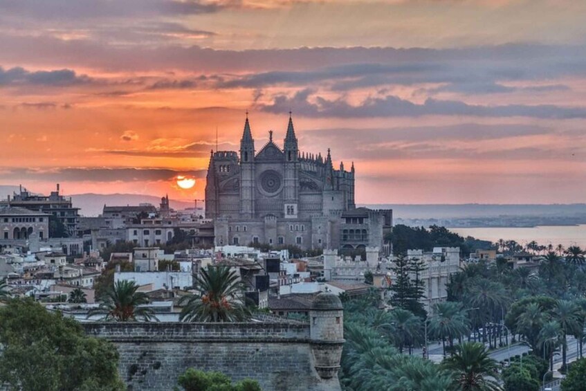 Palma de Mallorca: Private custom tour with a local guide