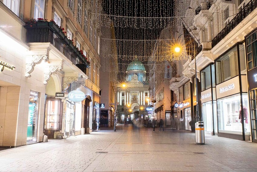 Picture 5 for Activity VIENNA AT NIGHT! Phototour of the most beautiful buildings