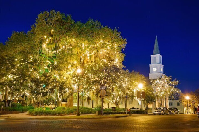 Tallahassee Delights: A Christmas Tour Through Art and Parks