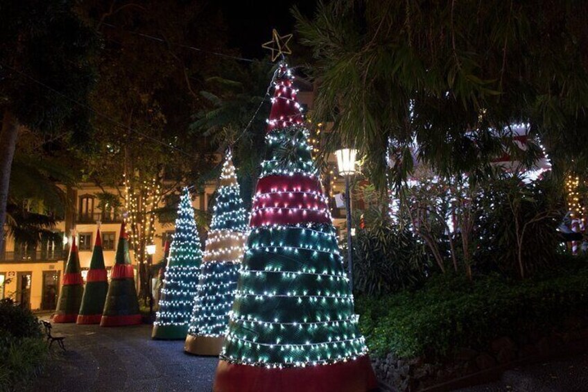 Tallahassee Delights: A Christmas Tour Through Art and Parks