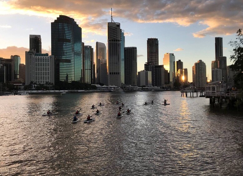 Picture 3 for Activity Brisbane: Illuminated River Night Kayak Tour