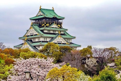 Osaka: recorrido privado a pie personalizado con un guía local