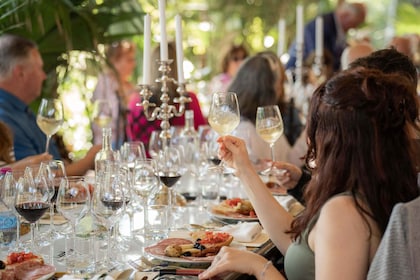 Middag i vingårdsträdgård och vinprovning i San Gimignano