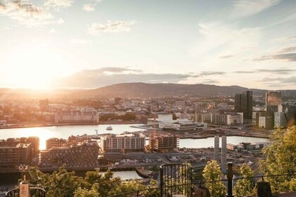 Oslo: Privat spasertur med lokal guide