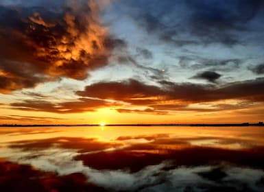 Le Grau du Roi: Half-Day Tour of Camargue